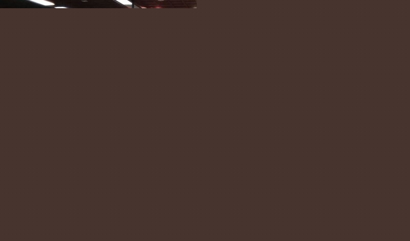 وزارت ورزش برای ۴ فدراسیون سرپرست گذاشت