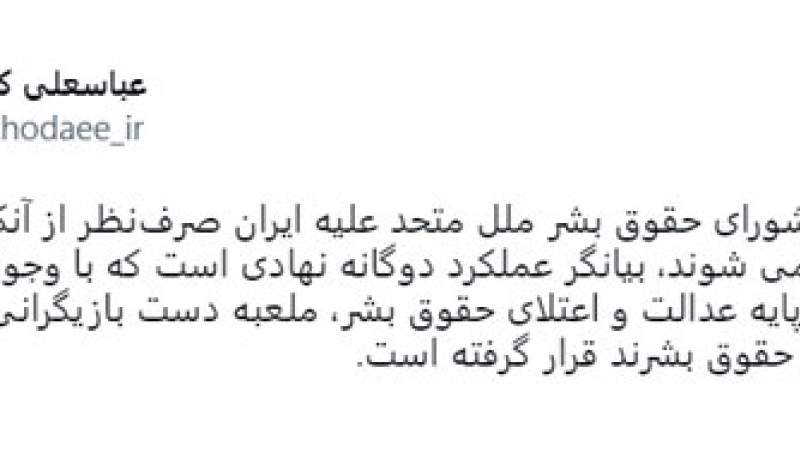 شورای حقوق بشر ملل متحد ملعبه دست بازیگران ناقض اصلی حقوق بشر است