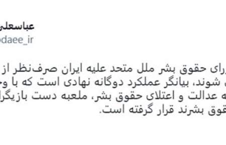 شورای حقوق بشر ملل متحد ملعبه دست بازیگران ناقض اصلی حقوق بشر است