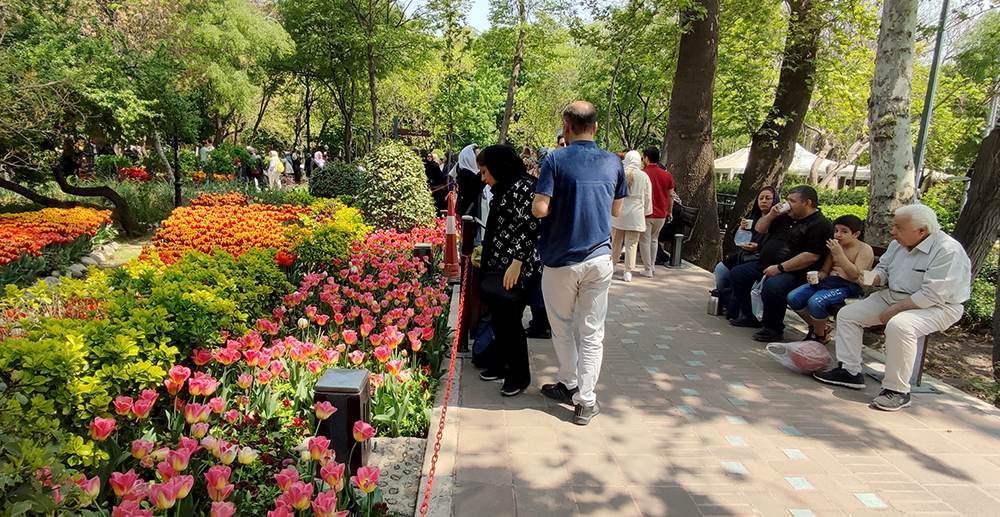 گزارش تصویری از بوستان گل لاله‌های بهاری محمدعلی مختاری (باغ ایرانی)- عکاس: مجید قاضی پور