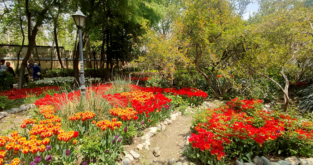 گزارش تصویری از بوستان گل لاله‌های بهاری محمدعلی مختاری (باغ ایرانی)- عکاس: مجید قاضی پور