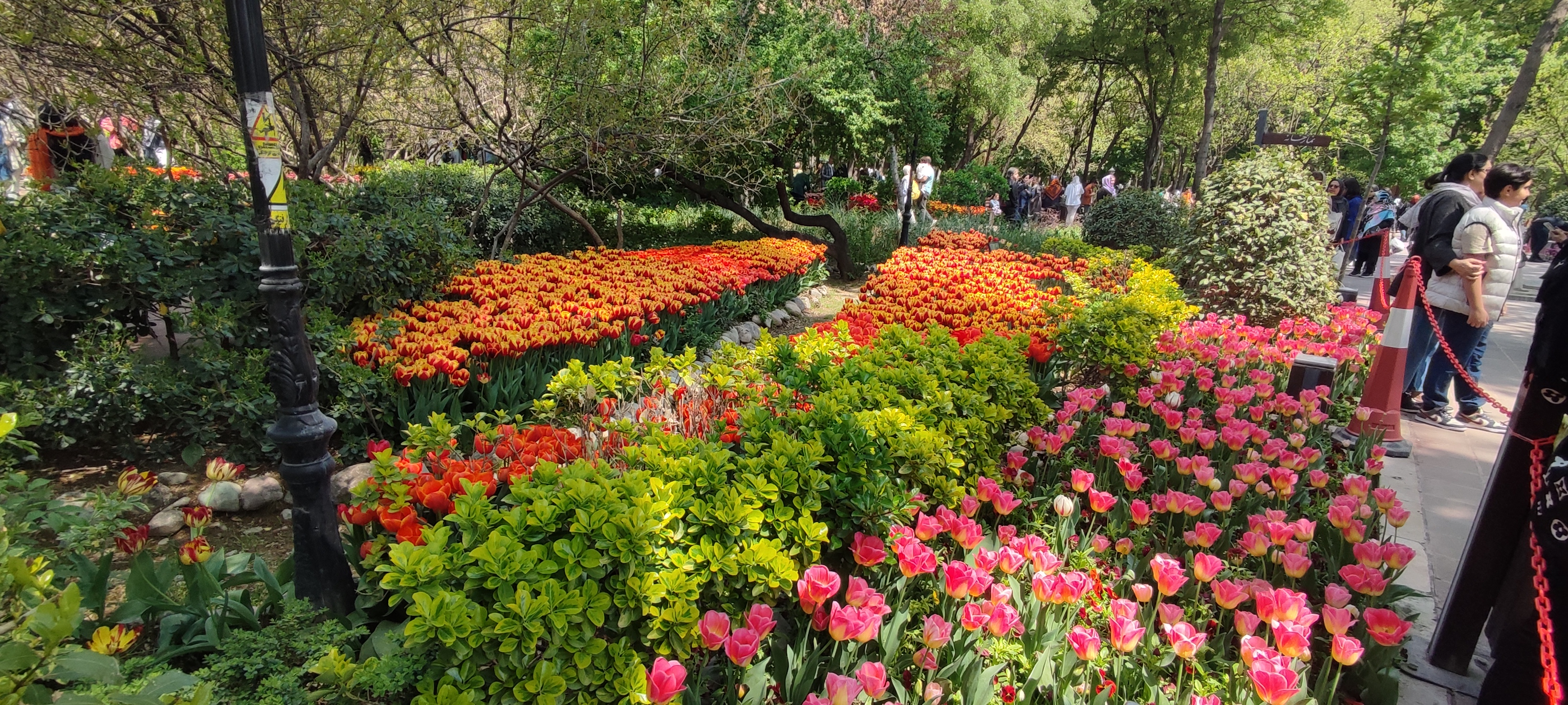 گزارش تصویری از بوستان گل لاله‌های بهاری محمدعلی مختاری (باغ ایرانی)- عکاس: مجید قاضی پور