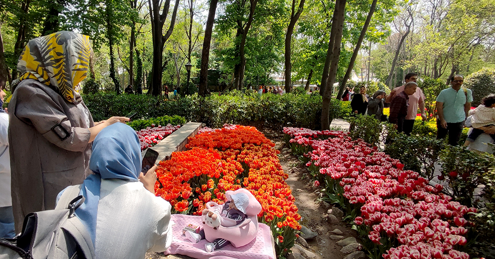 گزارش تصویری از بوستان گل لاله‌های بهاری محمدعلی مختاری (باغ ایرانی)- عکاس: مجید قاضی پور