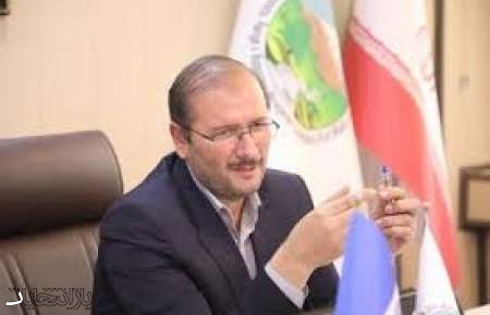حسن وحید به‌عنوان سرپرست سازمان منابع طبیعی منصوب شد