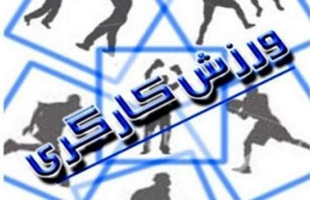چالش انتخابات ۱۰ فدراسیون‌ مهم برای بازی‌های آسیایی