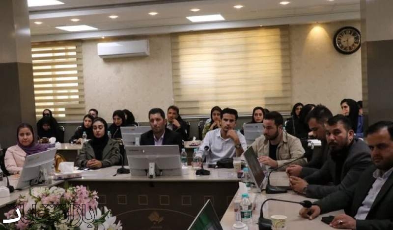 انتخابات شبکه‌های تخصصی سمن‌ها در چهارمحال و بختیاری با مشارکت ۷۸ سازمان برگزار شد